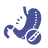 Physiology Icon