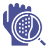 Physiology Icon