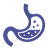 Physiology Icon