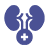 General Surgery Icon